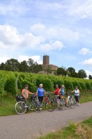 Stadt Sinsheim Burg Steinsberg - Copyright Stadt Sinsheim